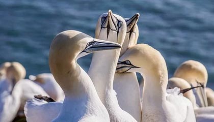 APP下载：一键开启高效生活的新入口