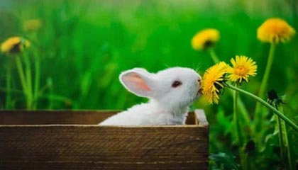 华体会体育：让热爱变成行动的全新体育体验